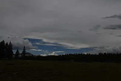 DSC_4421 (Large).JPG